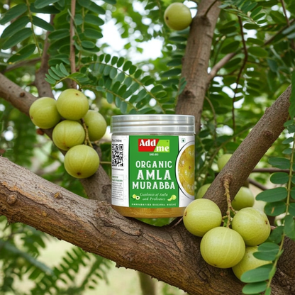 Add Me Dry Amla Murabba 400 gm – Organic Amla Preserve for Health