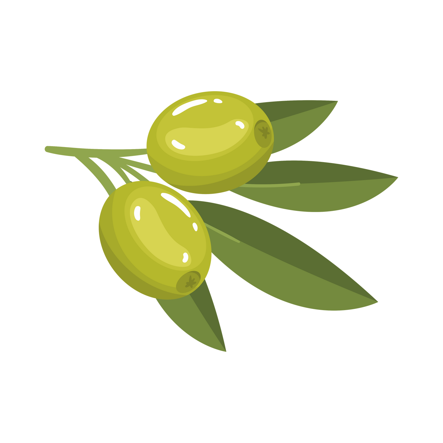 “Add Me Foods gourmet olive image, isolated on transparent background”